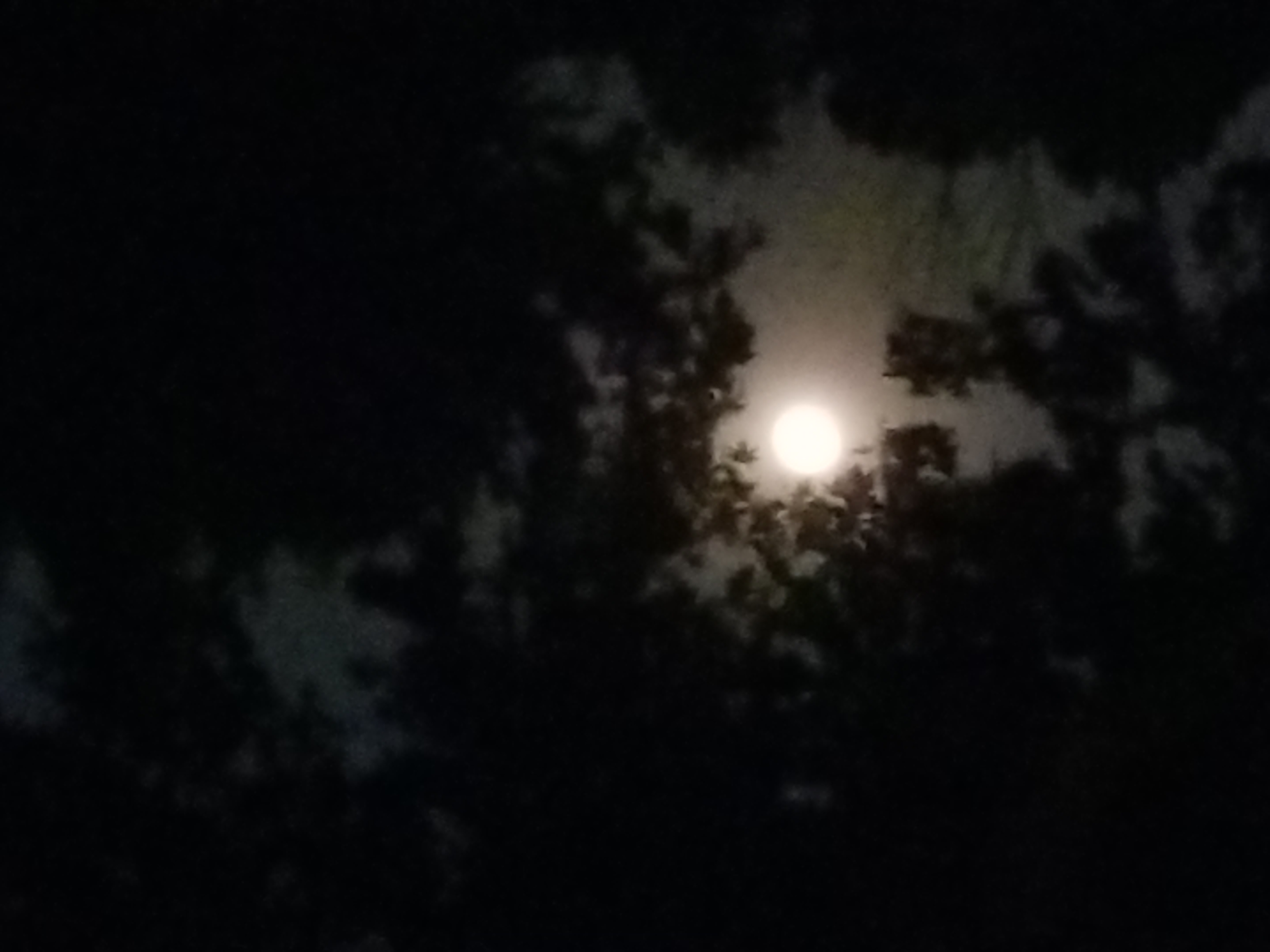 Full Moon